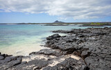 Fototapeta Nowy Jork - Volcanic rocks on a beach of uninhabited island, Galapagos National Park, Ecuador.