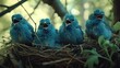 a group of baby blue birds sitting on top of a bird's nest in a tree filled with leaves.