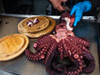Unrecognizable person preparing galician octopus
