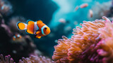 Fototapeta Do akwarium - Clownfish Swimming Amongst Coral Reefs. Generative AI.