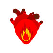 Fire in heart. Flame in an anatomical heart. Concept burning heart symbol of hope