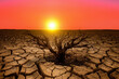 Drought land. Dries, Global drought. Dried tree in Dry cracked earth. Water crisis and World Climate change. Dried earth in Water crisis in nature. No freshwater in desert. Cracked dried earth soil