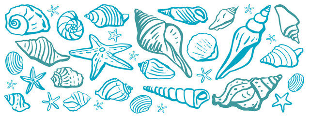 Seashells vector set. Hand drawn illustrations.Marine background. 