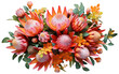 Showcase of Exotic Protea Flowers on white background