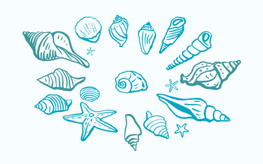 Wall Mural - Seashells vector set. Hand drawn illustrations.Marine background. For invitations, greeting cards, posters, prints, banners, postcards.