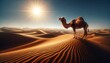 a distant camel in the desert under a bright sun and a clear blue sky wallpaper background
