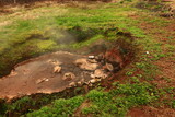 Fototapeta Sawanna - The Geysir geothermal field is a collection of hot springs, a dome and a volcanic cone that make up the remains of an ancient volcano in Iceland.
