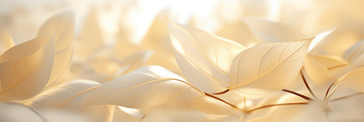 Softly lit leaves arranged in delicate harmony background banner. Panoramic web header. Wide screen wallpaper