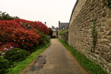 Fototapeta Sawanna - Locronan is a commune in the Finistère department of Brittany in north-western France