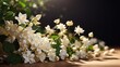 a cluster of white blooming flowers against a dark background. The lush green leaves add contrast and depth. Ideal for spring-themed designs, nature blogs, and floral compositions.