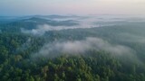 Fototapeta Natura - Misty forest aerial view at dawn
