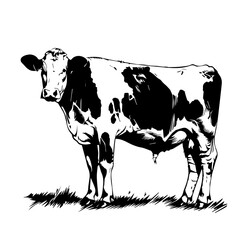 Wall Mural - Cow Vector