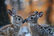 © svastix - Close-up of two adorable fawns nuzzling each other with autumn leaves blurred in the background symbolizing love