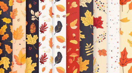 Poster - A collection of various colored leaves on a plain white background. Ideal for use in nature-themed designs