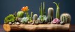 Several small succulents, including cacti, sit atop a rustic wooden log. The succulents are potted and varied in shapes and sizes, creating a visually interesting display of desert plants.