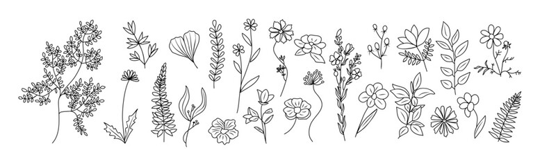 Sticker - Set of tiny wild flowers and plants line art vector botanical illustration on transparent background. Trendy greenery hand drawn black ink sketches collection. Modern design logo, tattoo, wall art.