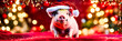 pig in santa's hat year of the pig. Selective focus.