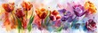 Watercolor illustration of colorful spring tulip flowers, spring banner