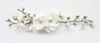 A branch of delicate white flowers is elegantly displayed against a clean white background, creating a striking contrast and highlighting the beauty of the blossoms.
