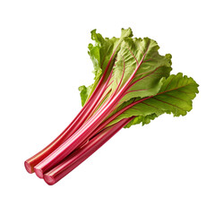 Wall Mural - Rhubarb isolated on transparent background