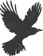 Silhouette crow bird fly black color only full body