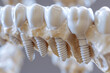 Extreme closeup of an artificial tooth root and crown for dental implantation, expertly designed through AI-powered 3D software for incredibly naturalistic, anatomically precise results
