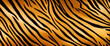 Background with tiger stripes pattern, tiger coloring. Background or texture of tiger skin, banner.