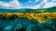 Deep within the fabled Bermuda Triangle a mesmerizing undersea world unfolds before us. In the distance the infamous Sargasso Sea reveals itself its swirling mass of seaweed