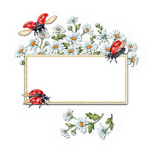 Watercolor Illustration Of A Bouquet Of White Daisies And Red Ladybugs With Rectangular Space For Text. Harvest Festival. Compositions Of Meadow Flowers For Weddings, Posters, Cards, Banners, Flyers, 