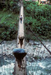 Porters carrying loads across suspension bridge