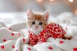 adorable little kitten wearing a valentine's day jumper with red hearts laying on a white blanket with red hearts love best friend 