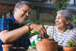 © Wavebreak Media - Senior biracial woman and biracial man share a joyful moment gardening