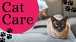 Promoting pet health, a Siamese cat sits prominently, symbolizing attentive feline care