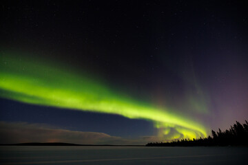 Colourful Northern Lights or Aurora Borealis in Lapland above the arctic circle in the north of Finland, around Pallas National Park