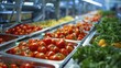 Food Production Lines ensure fresh, safe food from factory to table in hygienic, temperature-controlled environments.