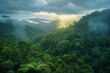 © Sittipol  - Tropical Evergreen Rain Forest, Rain Forest The nature of various plant species It is complete in terms of ecosystems, biomes, fertile areas, high angle reserved forests, and drone views.Landscape.