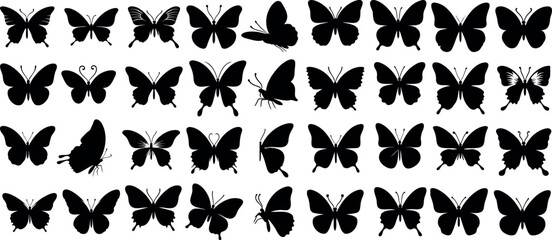 Wall Mural - collection of butterfly silhouettes, diverse butterflies shapes, sizes, flying, resting positions, b