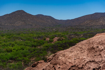 Beautiful scene in El Triunfo Ghost town in Baja California, Mexico