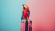 Animal abstract creative concept of parrot preparing for summer trip, tourist parrot with suitcase on minimal pastel background --ar 16:9 --v 6 Job ID: 186b710d-6115-406e-9673-0da150c72266