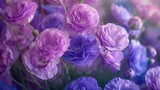 violet eustoma flowers close up macro shot