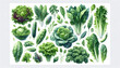 vibrant illustration featuring a variety of leafy green vegetables and herbs