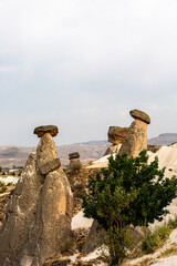 Wall Mural - Famous rock formations in phallic shape, Cappadocia, Turkey