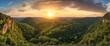 Wide angle panoramic view of pre historic deep jungle forest at sunset from Generative AI