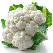 Cauliflower isolated on white background. Cauliflower vegetable isolated. Organic vegetable cauliflower.