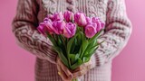 Fototapeta Tulipany - A woman in a textured sweater holding a beautiful bouquet of fresh pink tulips, indicating love and spring