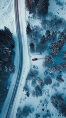 Wall Mural - car driving on the road