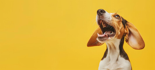 Sticker - Happy funny excited little dog with long ears and wide open mouth on bright background