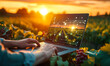 © Bartek - Modern agriculture technology with a person using a laptop to analyze data on sustainable farming practices at sunset in a vineyard