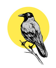 Wall Mural - grey crow, raven, bird, vector sketch illustration, hand drawn, black outline, engraving style