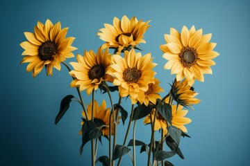  Decorated sunflowers for ukrainian independence day celebration on a vibrant blue background